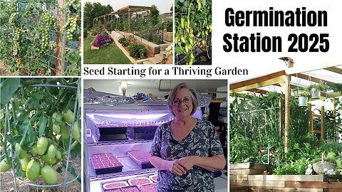 Germination Station 2025 * Grow Strong, Healthy Seedlings #SurvivalSeeds2025