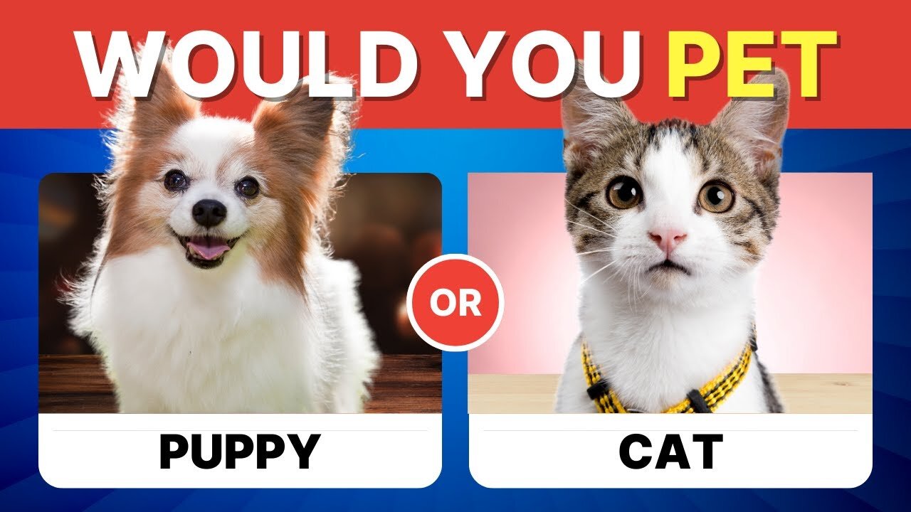 Would You Rather... Pet Edition! 🐶🐱 | 60 Hardest Animal Choices Ever