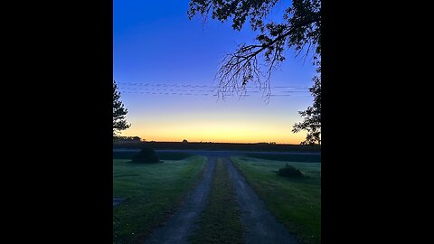 Morning ☀️ Sunrise