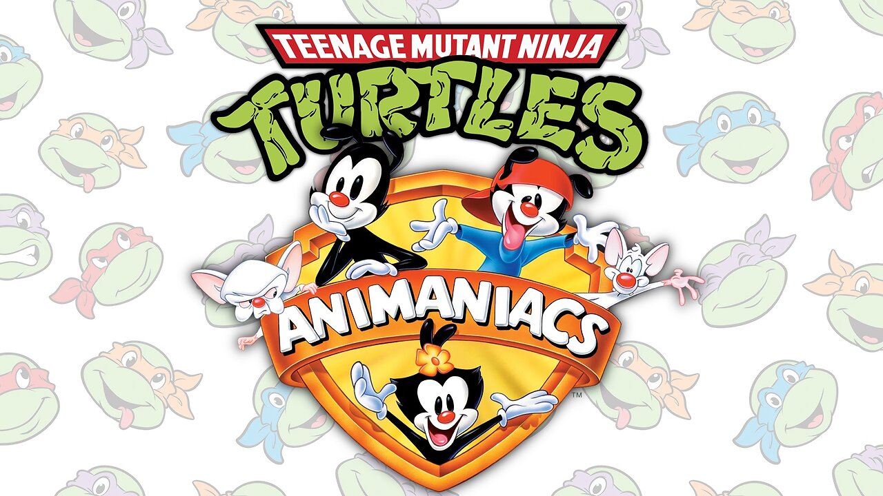 TMNT on the Animaniacs TV Show in the 90s