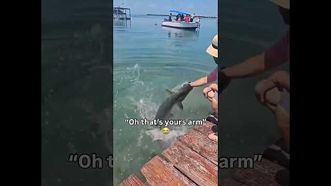 Top 13 moments of Sea Animals