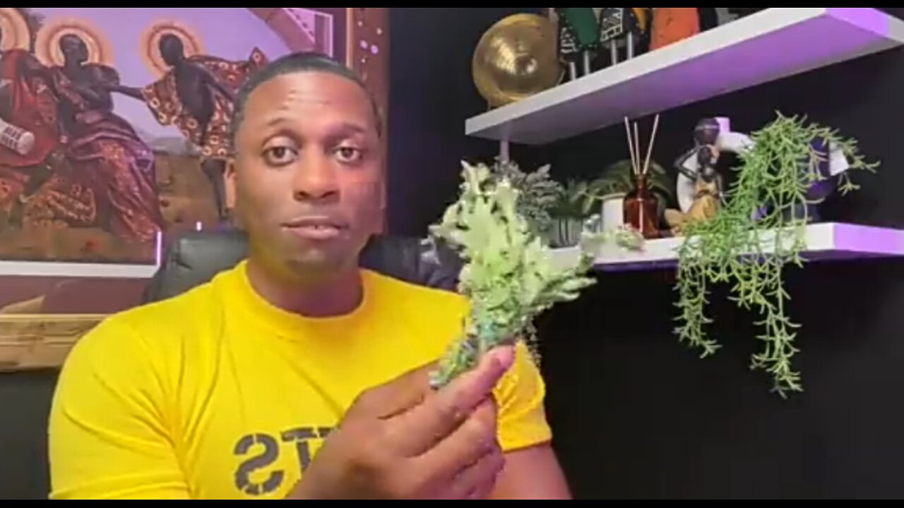MEDICINAL USES OF OREGANO (video source below)