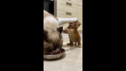 Okay, Now what's This Explain 😅🤔