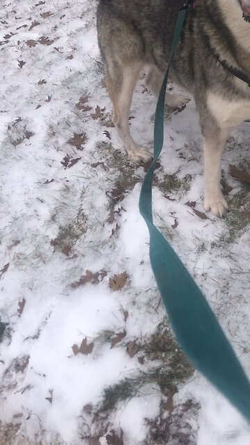 Sunday January 5, I will test them in this