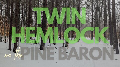 Twin Hemlock Loop on the Pine Baron, Snowy Hike | Full Hike POV | Hiking, Nature ASMR | Gaylord, MI