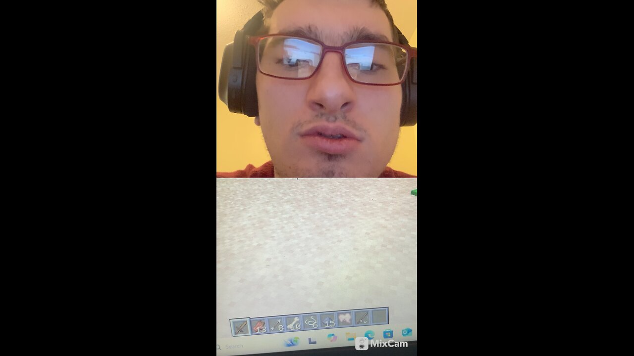 I found some sea turtles in Minecraft today