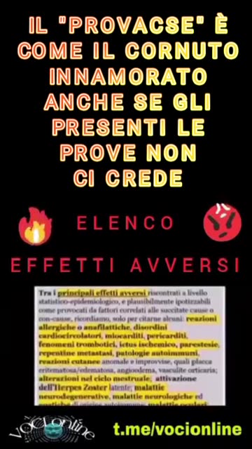 IL PROVACSE È IL CORNUTO INNAMORATO CHE NON CREDE NEMMENO SE VEDE