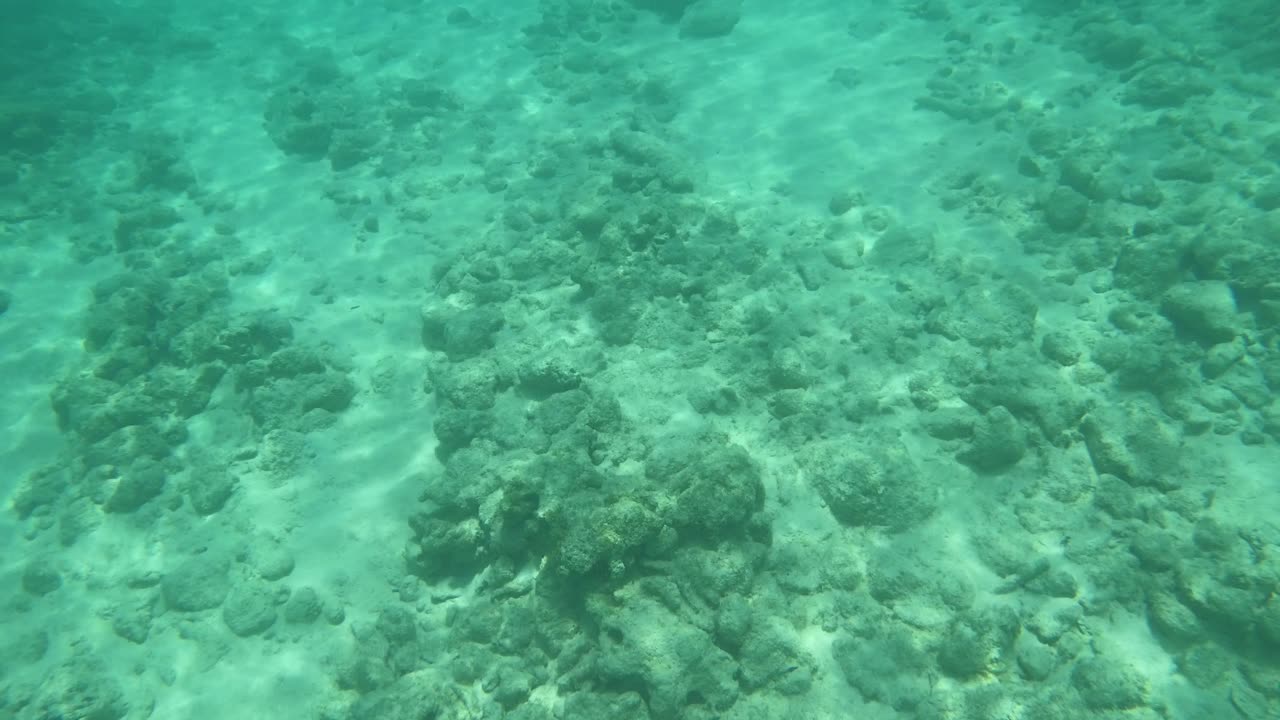 Snorkeling in Grand Cayman