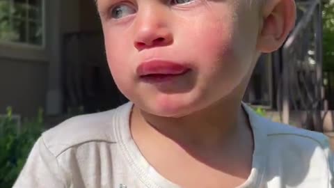 Curiosity (Almost) Stung the Kid! 🐝😂