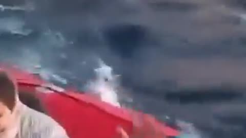 The Greek Coastguard Are Going The Extra Mile To Protect Their Borders and Citizens