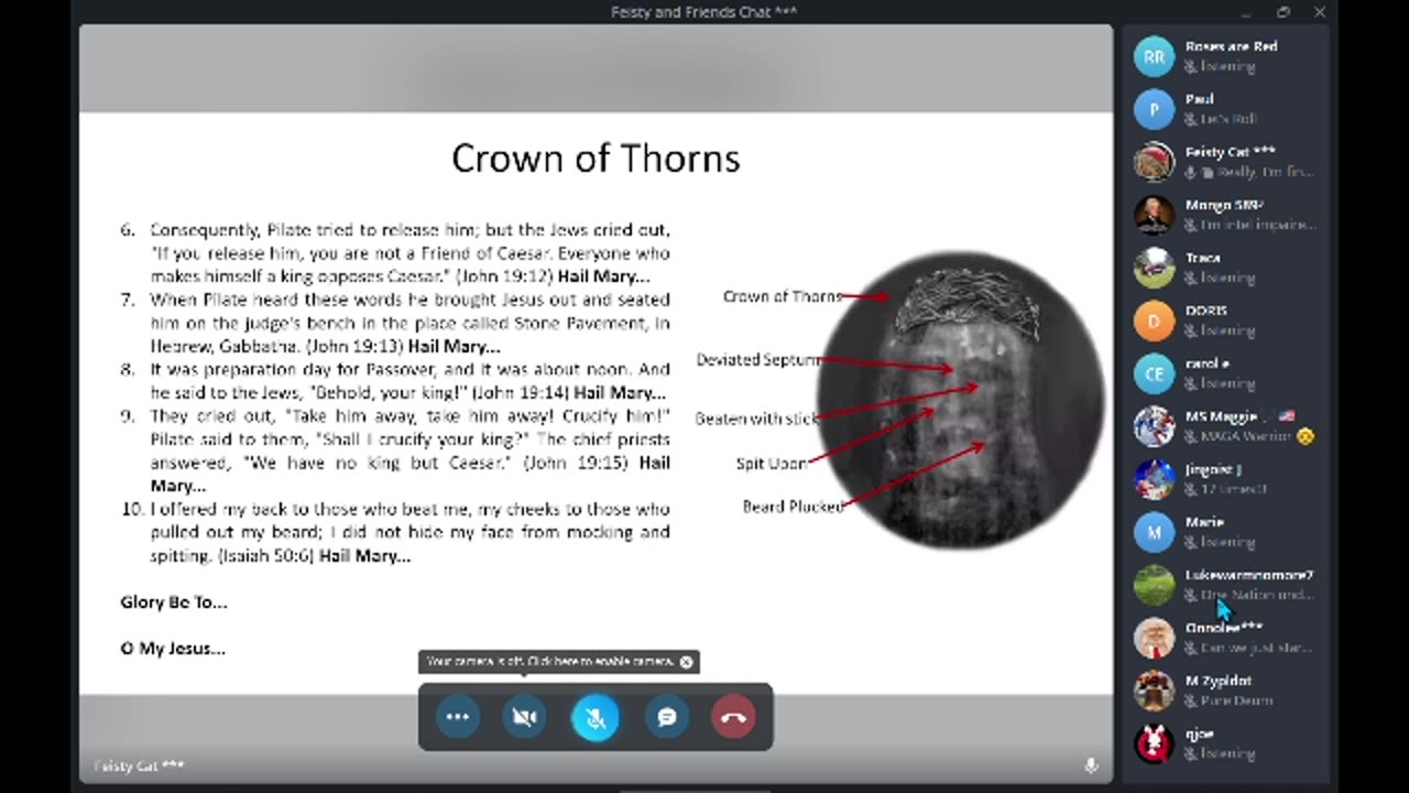 Feisty's 8 PM (Eastern) Scriptural Rosary