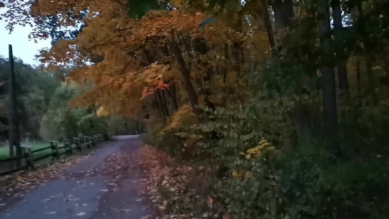 ale ... ale ... ale ...