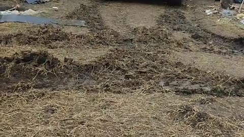 video American KShM M577 VSU
