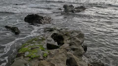 REEF View - La Jolla California Ocean View #lajolla #hidden #cloudy #4k
