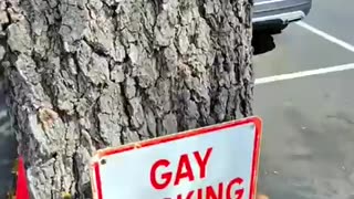 🤔🔥 You Won't Believe What Happens Next! | FunFM