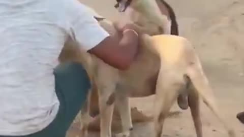 This is What Unconditional Love Looks Like...