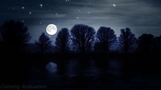 Deep Sleep Melodies - Discover Serene Rest and Forget Insomnia