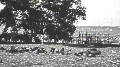 [FORD, SOUTH AMERICA] - [FORD, SOUTH AMERICA] - fc-fc-1177