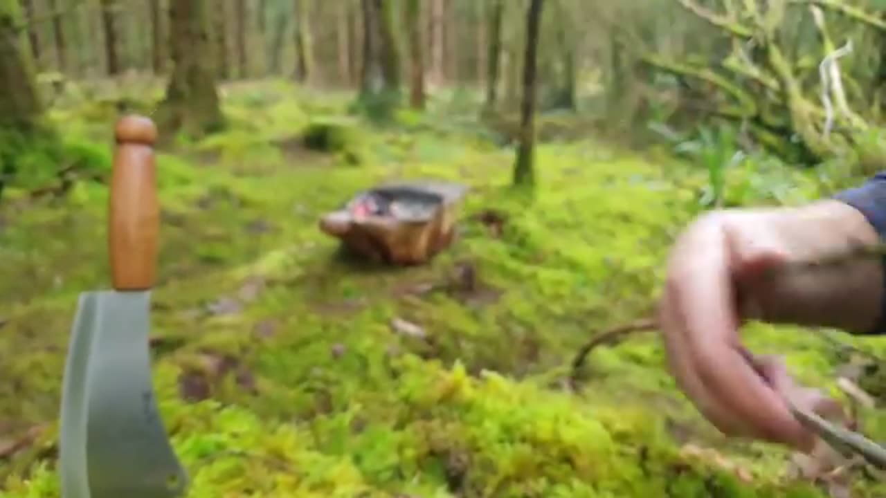 Cooking food in forest