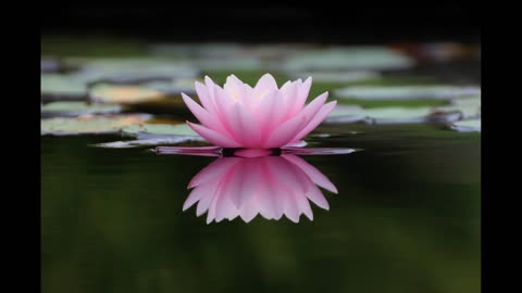 Zen Gong Meditation