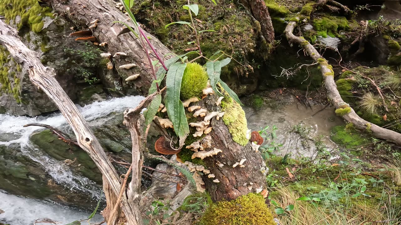 Cave and Waterfalls in Quebrada Llaca (Huaraz)