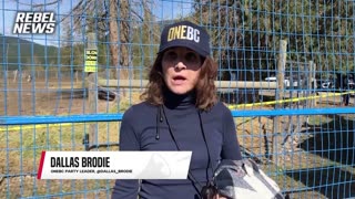 'Where are you?': OneBC leader Dallas Brodie calls out David Eby and John Rustad over ostrich cull