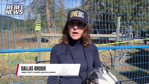 'Where are you?': OneBC leader Dallas Brodie calls out David Eby and John Rustad over ostrich cull 