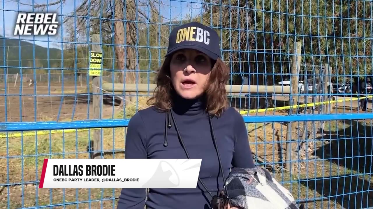 'Where are you?': OneBC leader Dallas Brodie calls out David Eby and John Rustad over ostrich cull