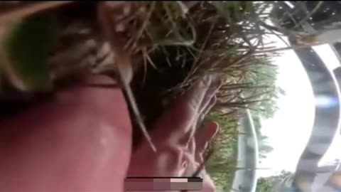 MOTOCRASH