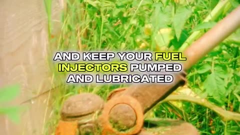 Keep Your Two-Cycle Engines Running Stronger & Longer With Muscle's Fuel Treatment FT-10™