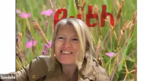 Ruth 2 — Ruth Meets Boaz, Gleaning, God’s Provision