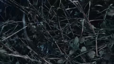 Mag-Dot Magnetic Titanium Mini EDC Flashlight Fidget Toy by Firefly