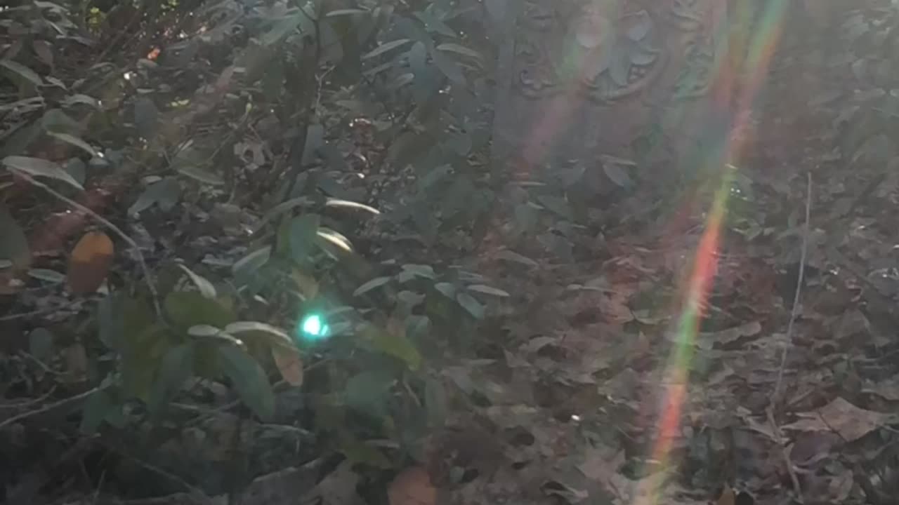 😱🏫 The Most Unnerving Cemetery Orb Ever! | TheHauntingHour