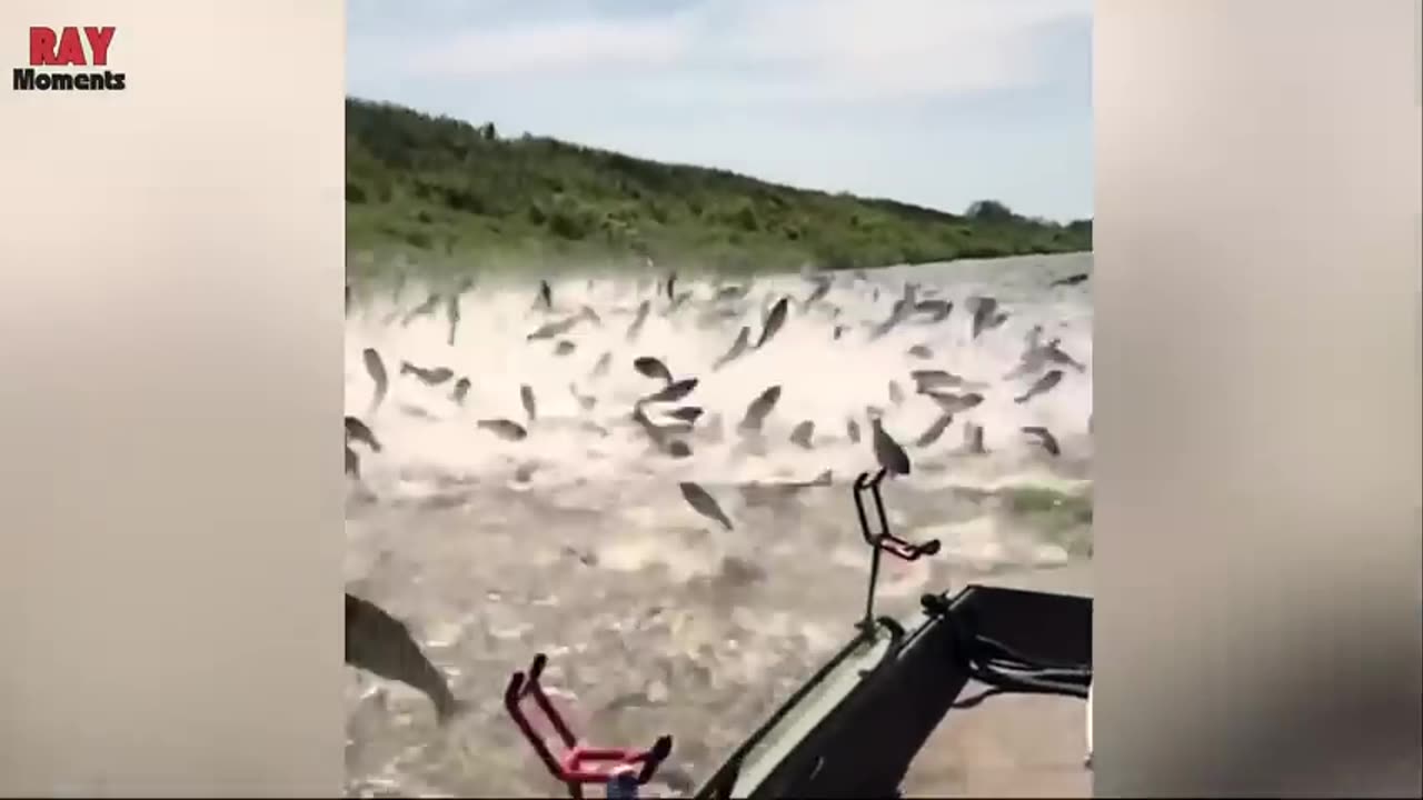One in a Billion momments in nature