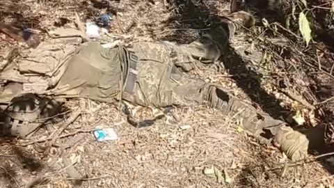 Ukrainian fighters killed in the South Donetsk direction.
