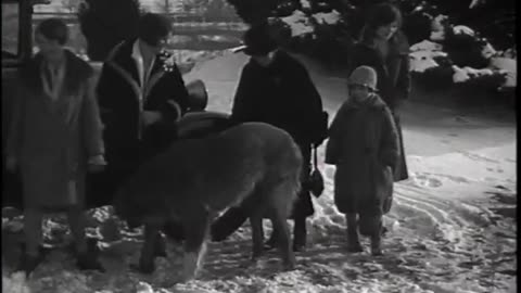 Harry Bennett at Home - Harry Bennett at Home - fc-fc-3104