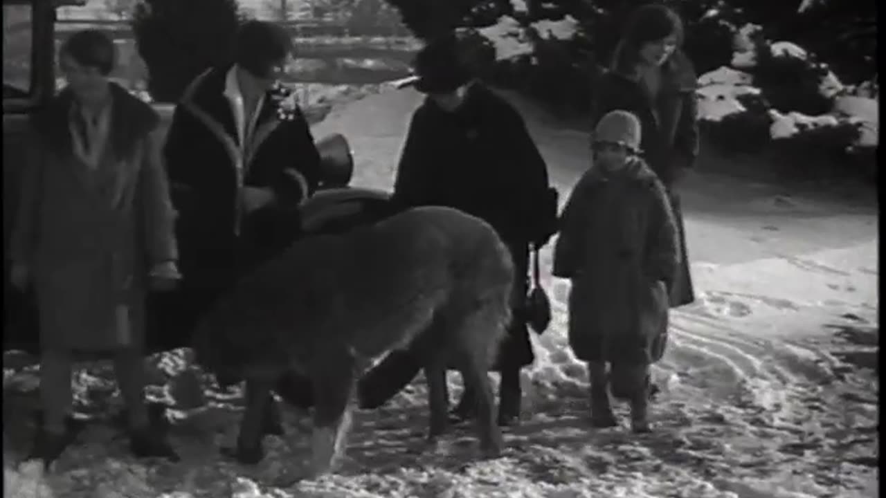 Harry Bennett at Home - Harry Bennett at Home - fc-fc-3104