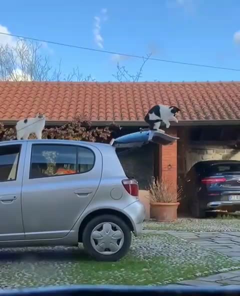 Remote cat controlled hatchback feature