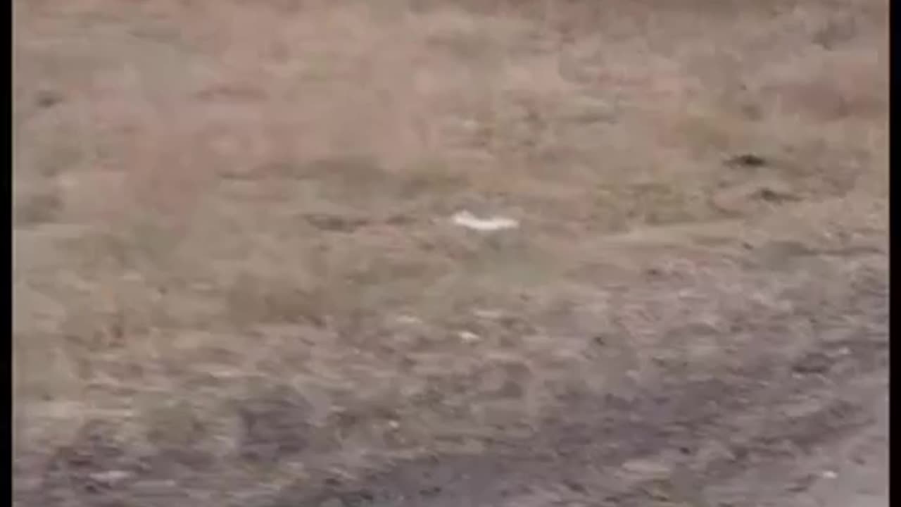 Father Dropping by to See His Son On the Way to Work