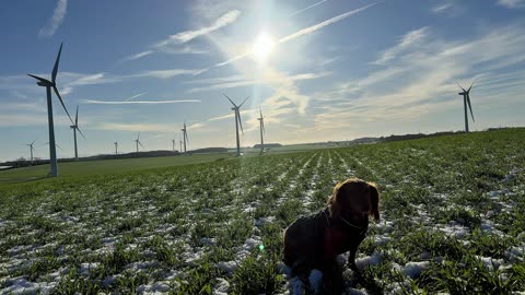21/11/25 trail run with willow