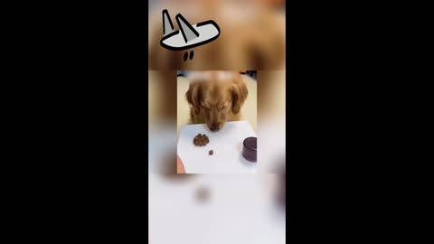 Our God_ The Ultimate Silence and Wait Experience