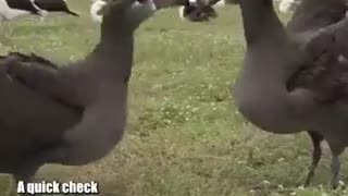 🤣😂 This Will Make Your Day! | FunFM