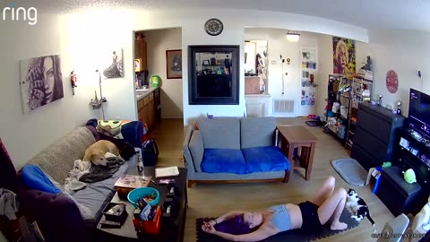 Kitten Turns Calisthenics Into Playtime