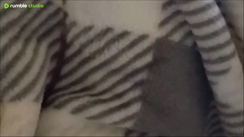 how my life hits you ain't my problem