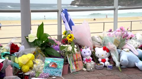 Australia's gun laws have loopholes and workarounds, experts say