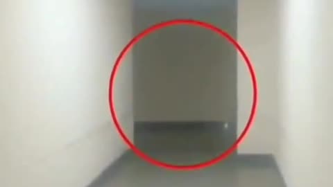 😱👻 This is So Terrifying! | TheHauntingHour