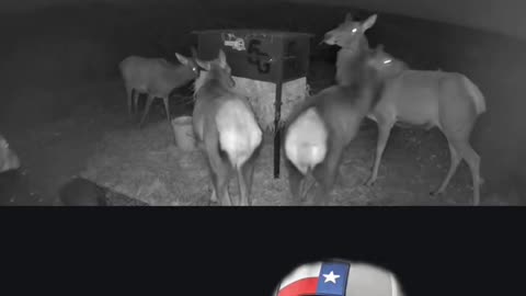 Tips on selling your ranch or land