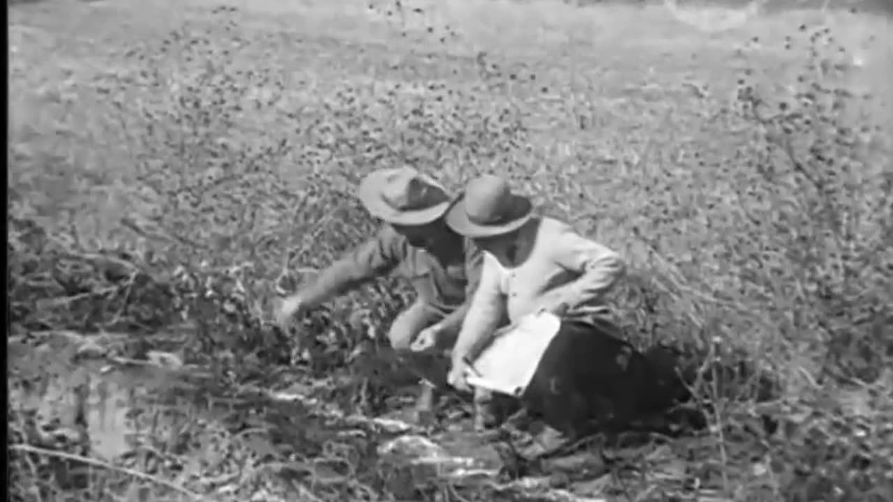 LOST AND WON (Selig-1911) HOBART BOSWORTH. NEW English subtitles.