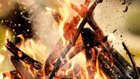 Daily Horoscope | Aries 🌟