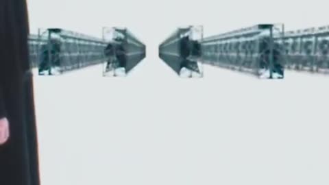 Lots of Guns at Dirty Bird Guns & Ammo – Rifles, Pistols, and More!